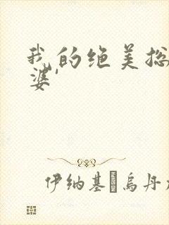 我的绝美总裁老婆'