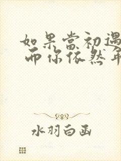 如果当初遇见你 而你依然年轻原唱