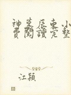 神墓辰东小说免费阅读完整版