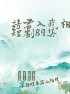 请君入我相思局短剧89集