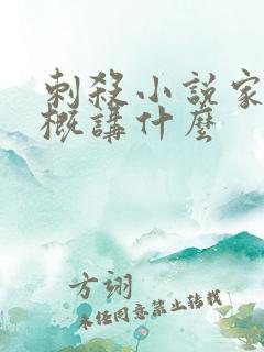 刺杀小说家1大概讲什么