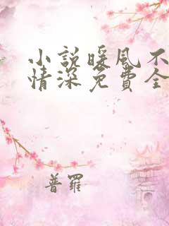 小说暖风不及你情深免费全文阅读