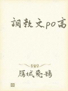 调教文po高h