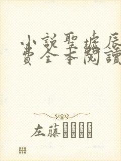 小说圣墟辰东免费全本阅读