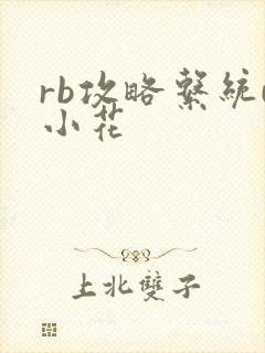 rb攻略系统u小花