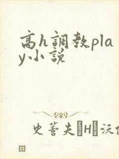 高h调教play小说