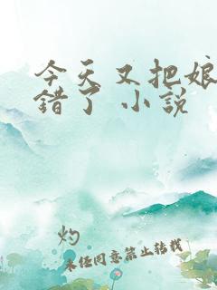 今天又把娘子认错了 小说