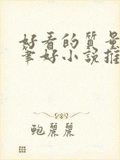 好看的质量高文笔好小说推荐