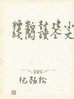 糟粕封建小说在线阅读全文