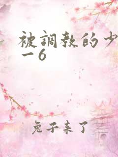 被调教的少妇1一6