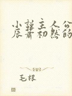 小说主人公叫叶辰萧初然的小说名