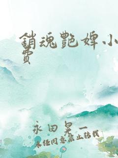 销魂艳婢小说免费