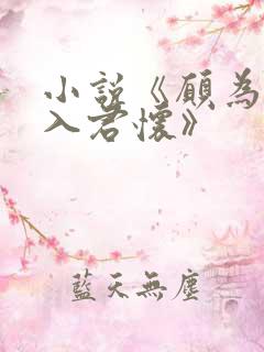 小说《愿为南风入君怀》