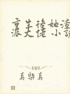 重生后她渣了反派大佬 小说