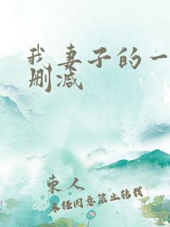 我妻子的一切无删减