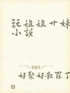 玩姐姐艹妹妹的小说