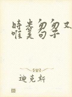 时光匆匆又一年唯美句子