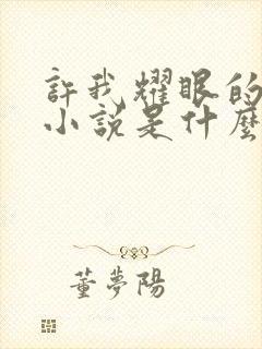 许我耀眼的原著小说是什么