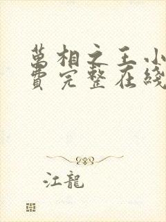 万相之王小说免费完整在线阅读