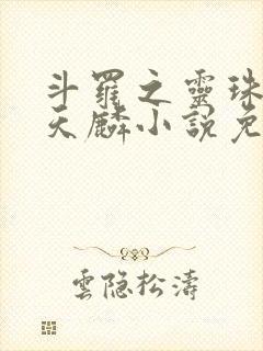 斗罗之灵珠神剑天麟小说免费阅读全文无窗口