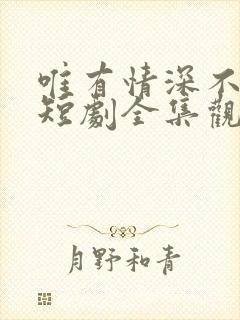 唯有情深不可负短剧全集观看