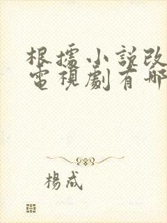 根据小说改编的电视剧有哪些