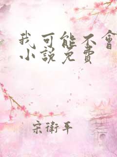 我可能不会爱你小说免费