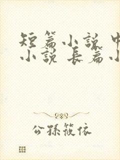 短篇小说 中篇小说 长篇小说