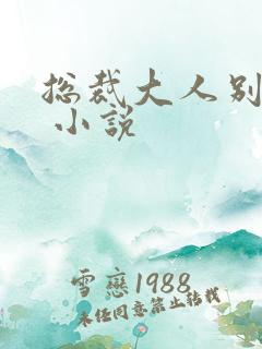 总裁大人别太坏 小说