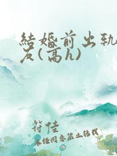 结婚前出轨前男友(高h)