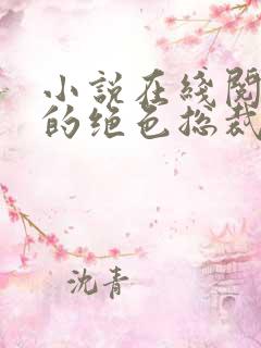 小说在线阅读我的绝色总裁老婆