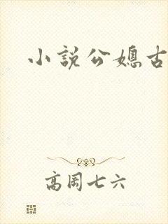 小说公媳古言