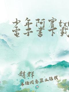 少年阿宾txt电子书下载