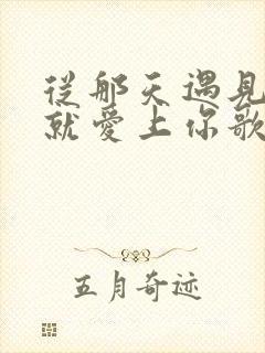 从那天遇见你我就爱上你歌名