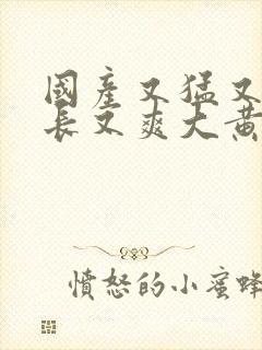 国产又猛又粗又长又爽大黄视频