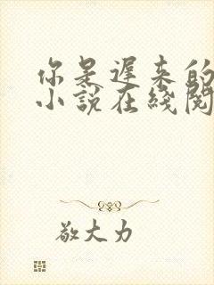 你是迟来的欢喜小说在线阅读