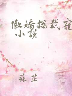 傲娇总裁宠上瘾 小说