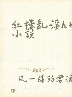 红楼乱淫h肉版小说