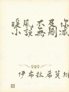 暖风不及你情深小说无删减版