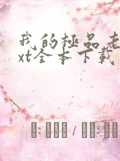 我的极品老婆txt全本下载