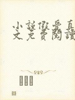 小说假爱真做全文免费阅读