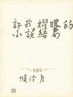 许我耀眼的原著小说结局