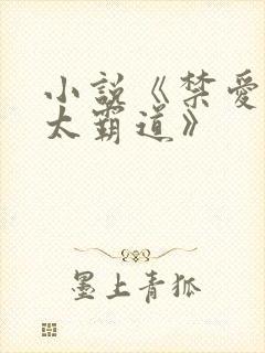 小说《禁爱总裁太霸道》