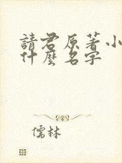 请君原著小说叫什么名字