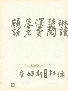 顾辰泽楚琳薇小说免费阅读最新章节