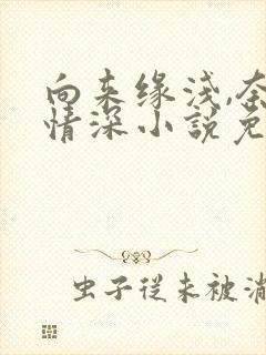 向来缘浅,奈何情深小说免费