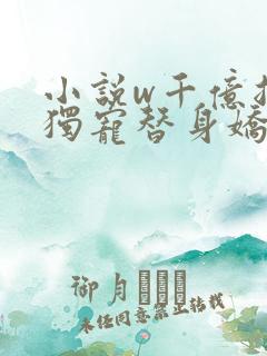 小说w千亿总裁独宠替身娇妻》