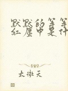 默默的等等你在红尘中是什么歌