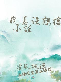 我真没想抢男主 小说