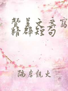 赞美文案写的好精辟短句